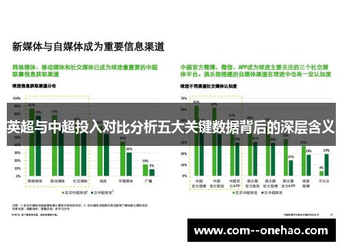 英超与中超投入对比分析五大关键数据背后的深层含义