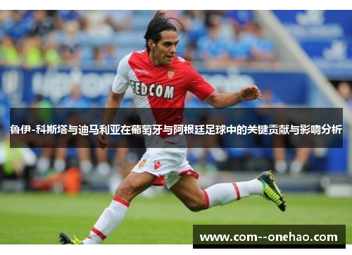 鲁伊-科斯塔与迪马利亚在葡萄牙与阿根廷足球中的关键贡献与影响分析 鲁伊-科斯塔与迪马利亚在葡萄牙与阿根廷足球中的关键贡献与影响分析